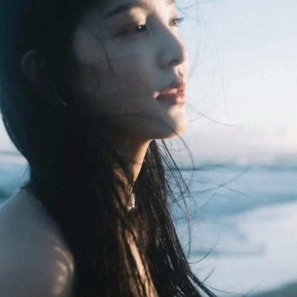 豺狼